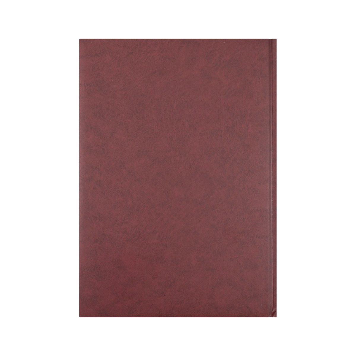 2027 Calendar Year Diary/Planner - 12 Month A4 Day to Page, 15 mins - Hard Cover - Collins Appointment Range - Early Edition