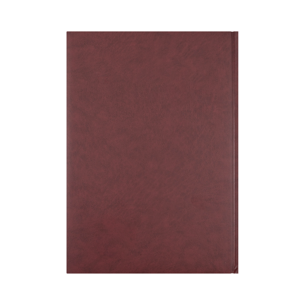 2027 Calendar Year Diary/Planner - 12 Month A4 2 Pages to a Day Diary - Hard Cover -Collins Appointment Range - Early Edition