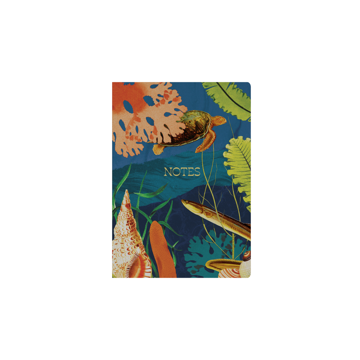 Notebook A5 - Ruled - Hard Cover (Recycled) in Turtle - Collins Modern Organic Range