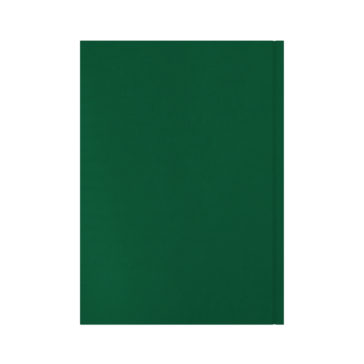 2026-2027 Financial Year Diary/Planner - 12 Month A4 Day to Page Diary - Hard Cover - Collins Essential Range