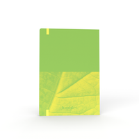 Jumble & Co. - Thankful & Wishful Gratitude Journal, A5 - Green