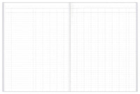 Analysis Book Series 'A60' 14 Money Column - Collins Debden