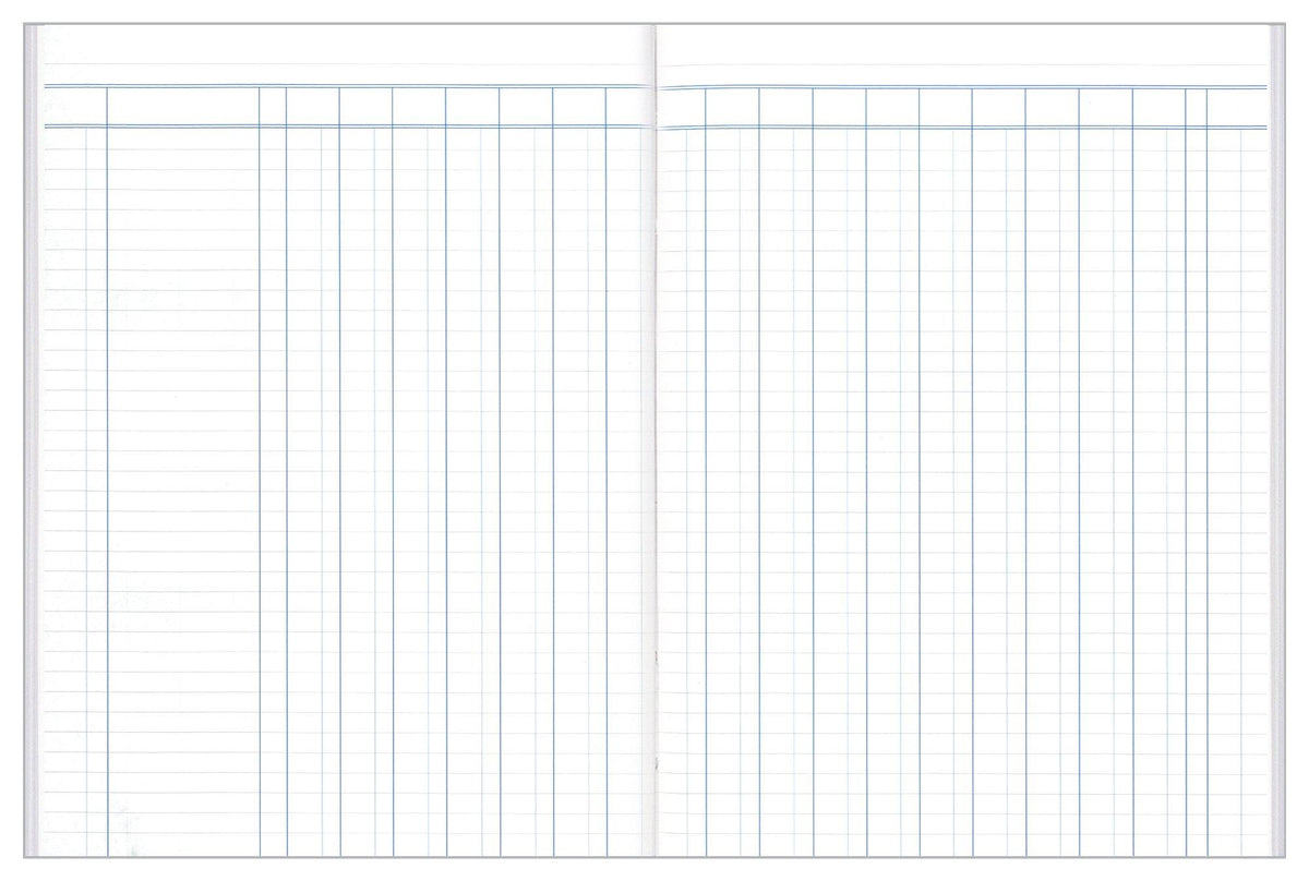 Analysis Book Series 'A60' 18 Money Column - Collins Debden
