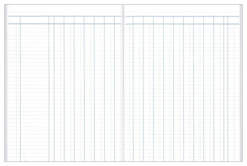 Analysis Book Series 'A60' 18 Money Column - Collins Debden