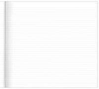 Analysis Book '700' Series A3 Feint Ruled - Collins Debden